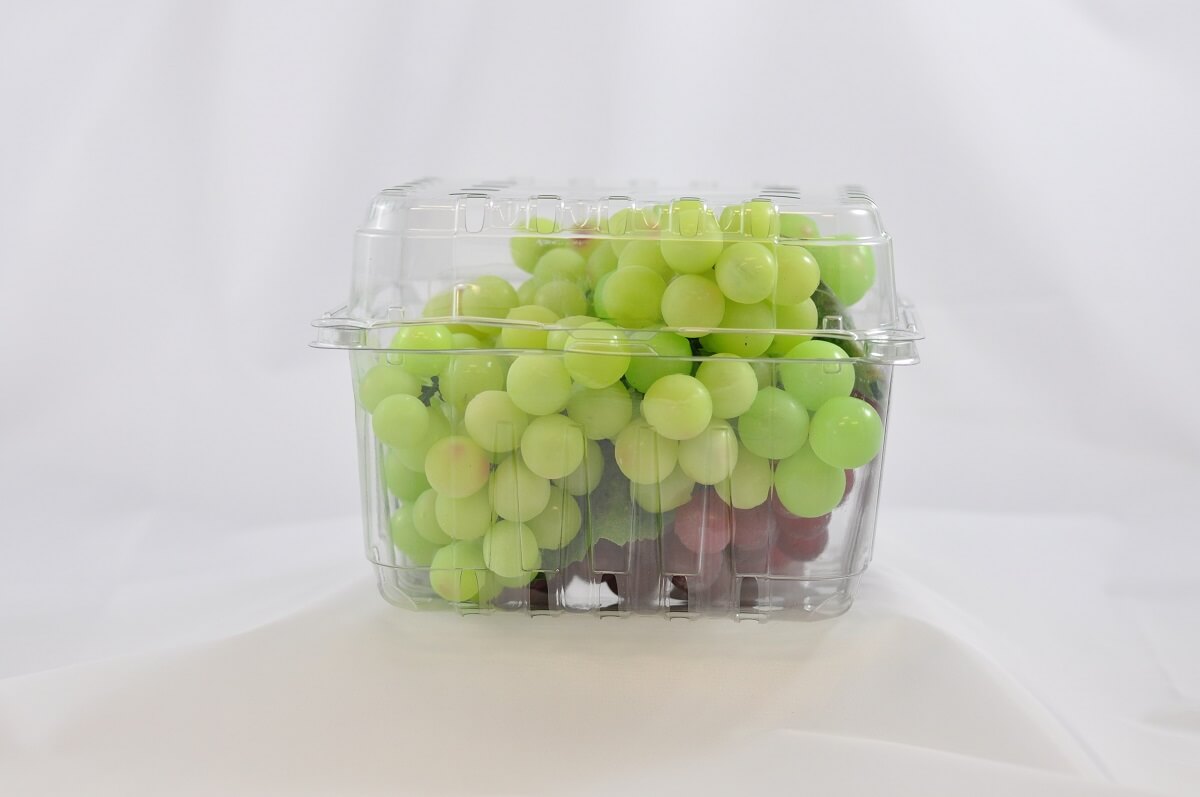 Featured image for “3lb Grape Clamshell”