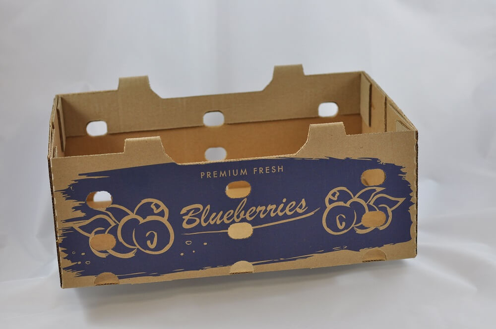 Featured image for “Blueberry Boxes”